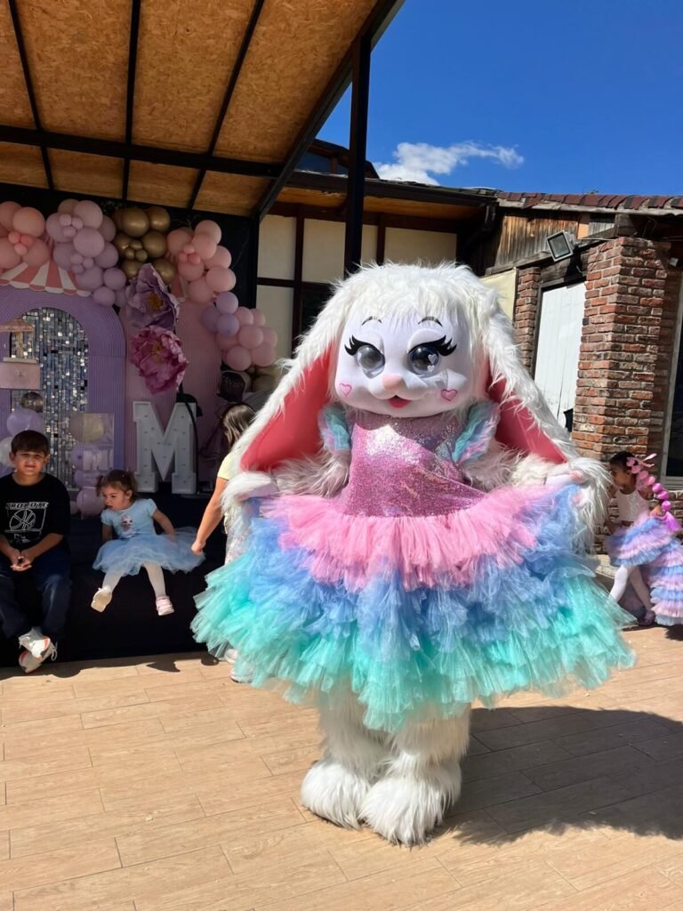 Festival & Şenlik - Sirk Gösterileri fotoğraf 3